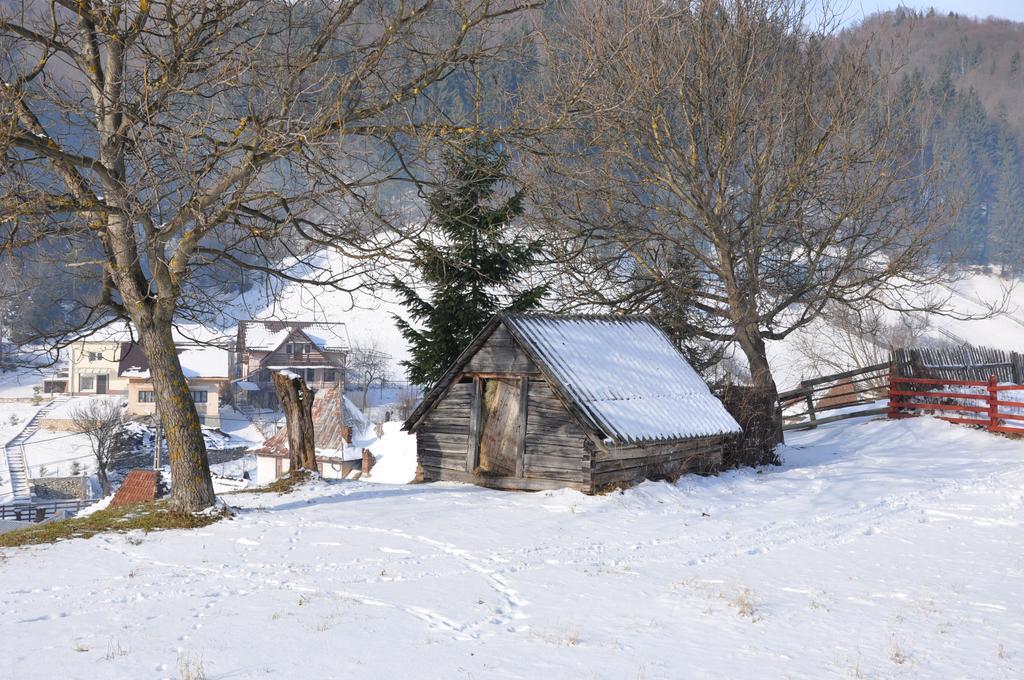 Pensiunea La Ionica Dimbovicioara Luaran gambar